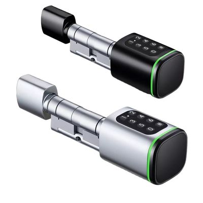 Geheugenkaart Smart Digital Lock Tuya Wifi App Beveiliging voor Home Office Kleine ovale cilinder