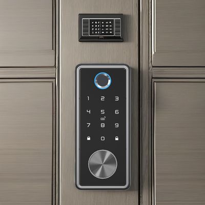 Zilveren zink legering vingerafdruk deur slot voor Home Office WiFi Tuya netwerk compatibel