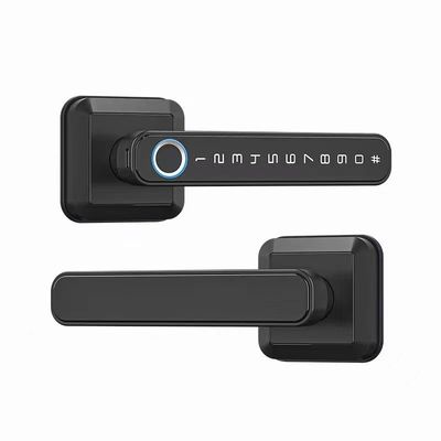 Wifi verbonden Bluetooth toegangslot Handle voor moderne eenvoud stijl deur slot