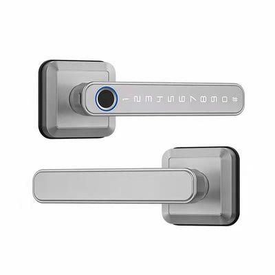 Wifi verbonden Bluetooth toegangslot Handle voor moderne eenvoud stijl deur slot