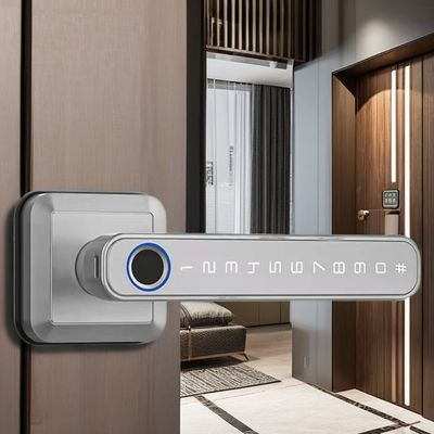 Wifi verbonden Bluetooth toegangslot Handle voor moderne eenvoud stijl deur slot