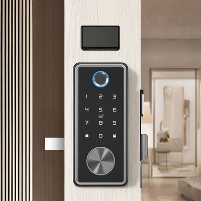 Zinklegering Zwart Blauw Tooth Smart Lock voor WIFI netwerk Tuya APP geheugenkaart