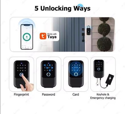 Home Hotel Office WiFi Connected Smart Lock Tuya Network Elektronische wachtwoordbox Metalen poort Glas IP65 waterdicht