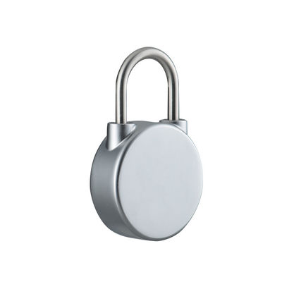 Smart Lock Elektromagnetisch slot voor hoge beveiliging van de deur in huis/kantoor/school