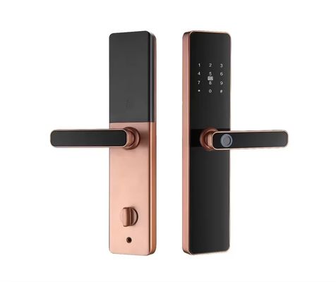APP-gecontroleerd vingerafdrukdeurslot voor aluminium-houten stalen deuren Tuya Smart TT Lock