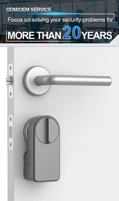 Kamerdeur Digitaal Keypad Ttlock Smart Home Handle Door Lock Langdurige batterijduur