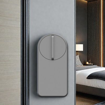 Kleine kast Smart Entry Lock met Tuya Ttlock App Grijze kleur 1 jaar batterijduur