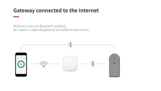 De introductie van het Grey Wifi Smart Gate Lock voor Tuya Houten Doors Memory Card Storage