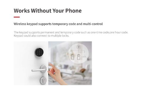 De introductie van het Grey Wifi Smart Gate Lock voor Tuya Houten Doors Memory Card Storage
