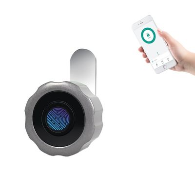 Gemakkelijk te installeren en te beheren Smart Mini Cabinet Door Lock met Fingerprint APP Ontsluit