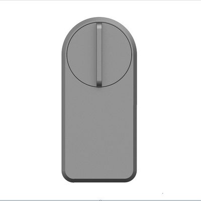Zinklegering Tuya App Wifi Draadloos wachtwoord Smart Blue Tooth Door Lock voor 95% deuren