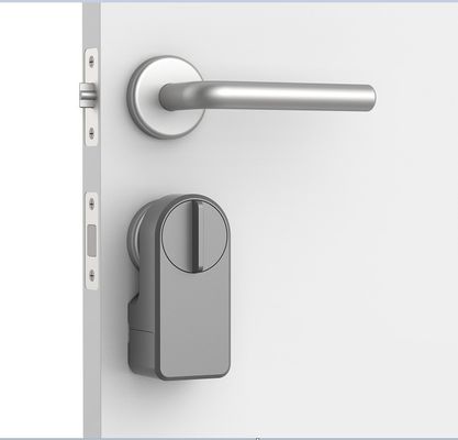 Zinklegering Tuya App Wifi Draadloos wachtwoord Smart Blue Tooth Door Lock voor 95% deuren