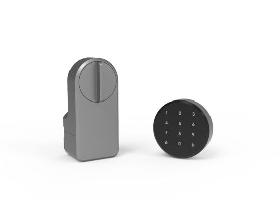 Zinklegering Tuya App Wifi Draadloos wachtwoord Smart Blue Tooth Door Lock voor 95% deuren
