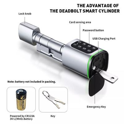 Ontsluit uw houten deur gemakkelijk met Silver Smart Cylinder Lock Password Ontsloten