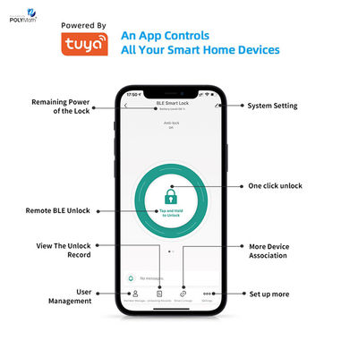 Steel Door Digital Tuya App Cards Password Smart Cylinder Lock met geheugenkaartopslag