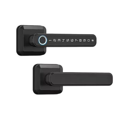 Geheugenkaart Dataopslag Slim slot voor houten deur Waterdicht IP66 Vingerafdruk Wifi