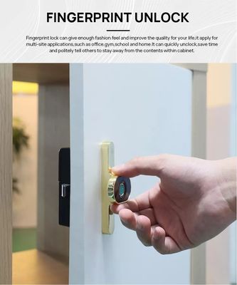 OEM/ODM Fingerprint Door Opening Houten kast slot systeem voor laden snel en gemakkelijk