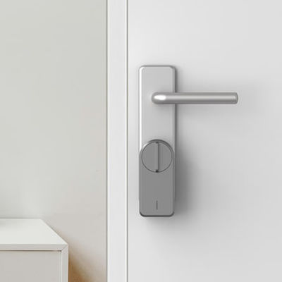 Grijs Tuya Ttlock App Automatische digitale RFID-kaart Euro-cilinder slot Elektronisch slimme deur slot in grijs