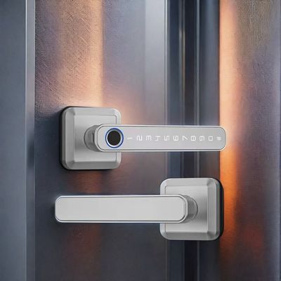 Zink legering materiaal Wifi ingeschakeld vingerafdruk deur slot waterdicht IP66 voor houten deur