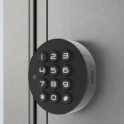 Blue Tooth Network Mini Fingerprint Woonkamerkasten voor Houten Deur Direct Supply