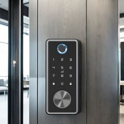 Stalen deur waterdicht Wifi digitale voorste sleutelloze slimme doodslot slot met Tuya app