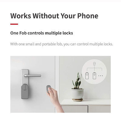 Upgrade uw deur met APP Blauwe tand Ontsluit WIFI-verbinding en geheugenkaart A1 Pro