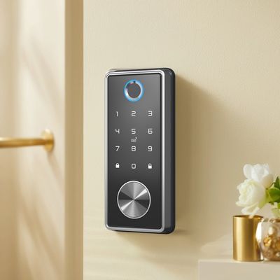 Elektronisch digitaal sleutelloos slimme deur slot met vingerafdrukherkenning en BLE WIFI