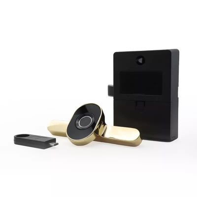 Opties voor gegevensopslag Geheugenkaart Mini-laca Smart Electric Lock Voor kantoorkasten