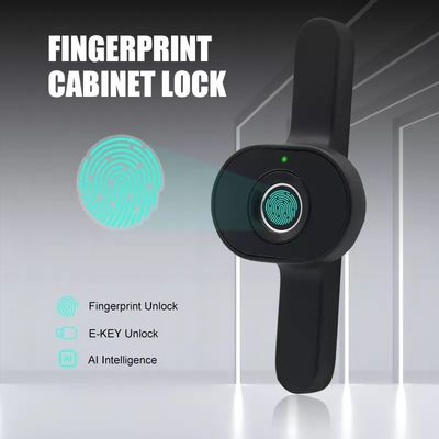 OEM/ODM Sleutelloze houten kast slot met vingerafdruk deur Openingssnelheid Minder dan 0,5 s