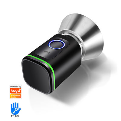 Beveilig uw huis met TUYA WiFi BLE Smart Bedroom Door Lock Cylinder en Memory Card