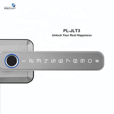 Wifi App Smart Door Elektronisch slot met vingerafdruk Handle Waterdicht Tuya TT Lock