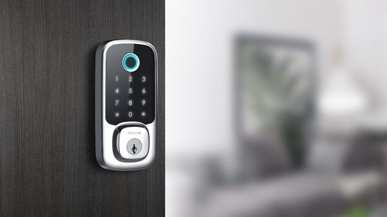 Stalen deur Elektronisch toetsenbord Slimme sloten Deadbolt met zinklegering van POLYMATH America