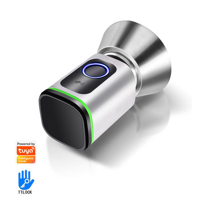Type-C stroomvoorziening Google Smart Fingerprint Door Lock Sleutelloze Poort slot met Tuya App