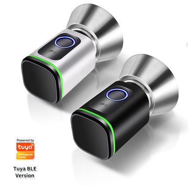Zwarte zilveren wachtwoord TUYA APP Deadbolt Door Lock Wifi Network Reader Afmeting 42*42mm