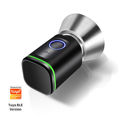 Zwarte zilveren wachtwoord TUYA APP Deadbolt Door Lock Wifi Network Reader Afmeting 42*42mm