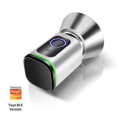 Zwarte zilveren wachtwoord TUYA APP Deadbolt Door Lock Wifi Network Reader Afmeting 42*42mm