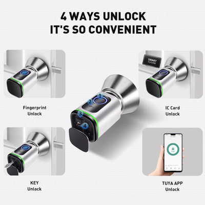 Zwarte zilveren wachtwoord TUYA APP Deadbolt Door Lock Wifi Network Reader Afmeting 42*42mm