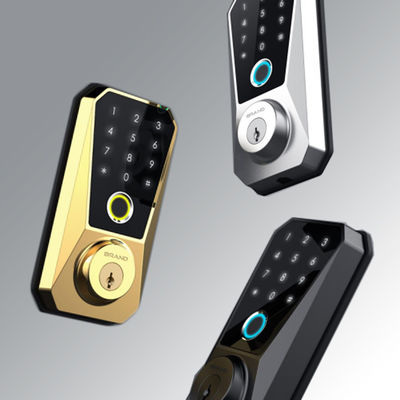 Aanpasbaar Zink legering slim slot Competitief voor Wifi-aangedreven vingerafdruk deur slot