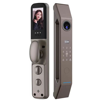 Wood Door Smart Gate Lock met 4200mA Lithiumbatterij en 3D gezichtsherkenning