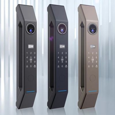 Wood Door Smart Gate Lock met 4200mA Lithiumbatterij en 3D gezichtsherkenning