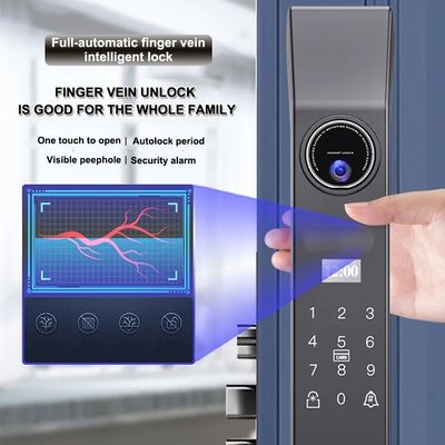 Wood Door Smart Gate Lock met 4200mA Lithiumbatterij en 3D gezichtsherkenning