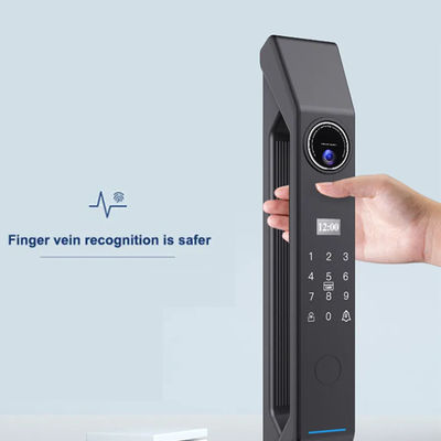 Wood Door Smart Gate Lock met 4200mA Lithiumbatterij en 3D gezichtsherkenning