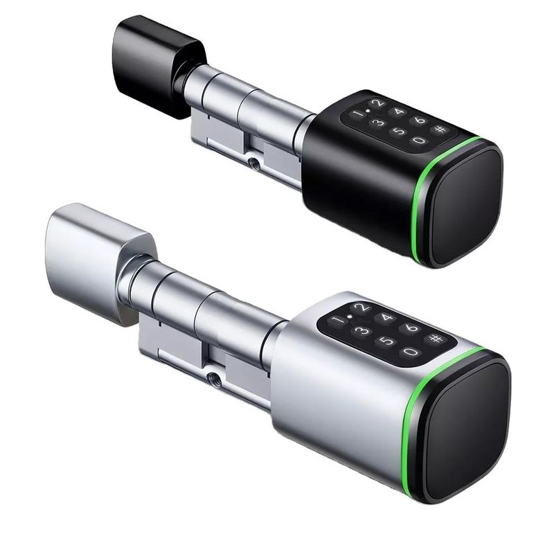 Geheugenkaart Smart Digital Lock Tuya Wifi App Beveiliging voor Home Office Kleine ovale cilinder