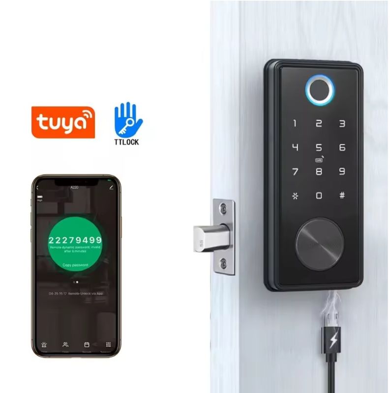 Zinklegering Zwart Blauw Tooth Smart Lock voor WIFI netwerk Tuya APP geheugenkaart