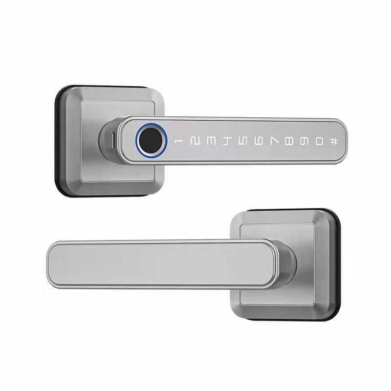 Type-C stroomvoorziening WiFi Bluetooth Smart Home Lock met vingerafdruk Sleutelloze beveiliging
