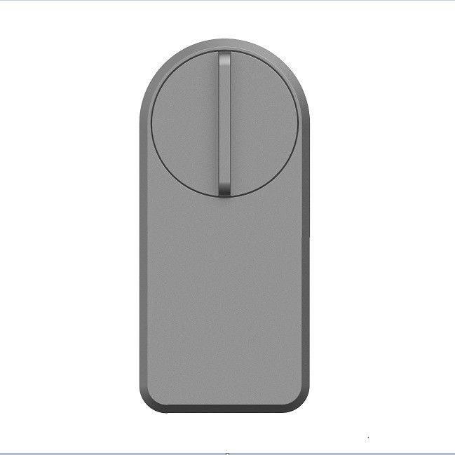 Zinklegering Tuya App Wifi Draadloos wachtwoord Smart Blue Tooth Door Lock voor 95% deuren