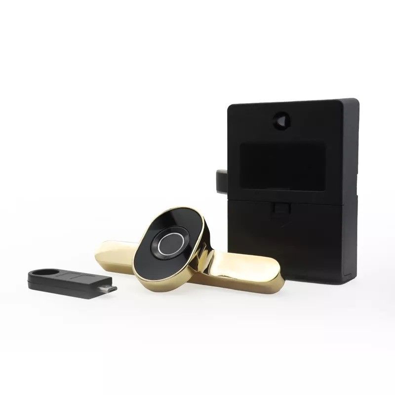 Opties voor gegevensopslag Geheugenkaart Mini-laca Smart Electric Lock Voor kantoorkasten