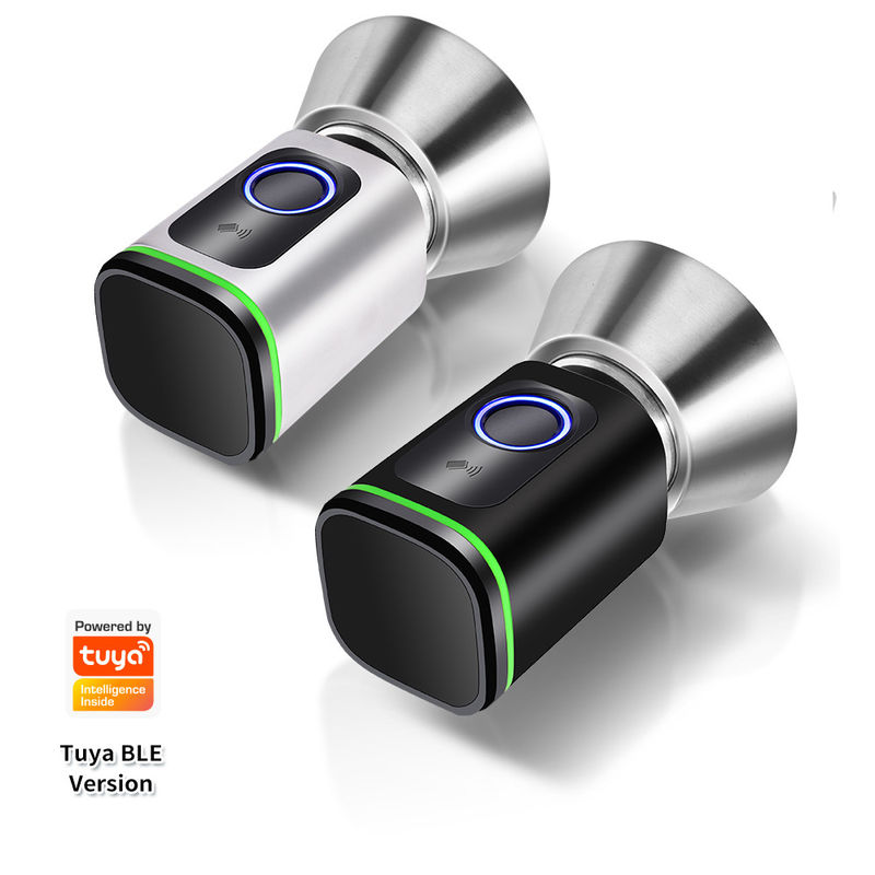 Zwarte zilveren wachtwoord TUYA APP Deadbolt Door Lock Wifi Network Reader Afmeting 42*42mm