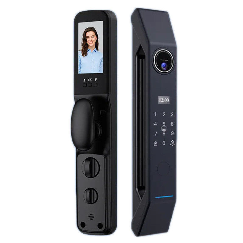 Wood Door Smart Gate Lock met 4200mA Lithiumbatterij en 3D gezichtsherkenning